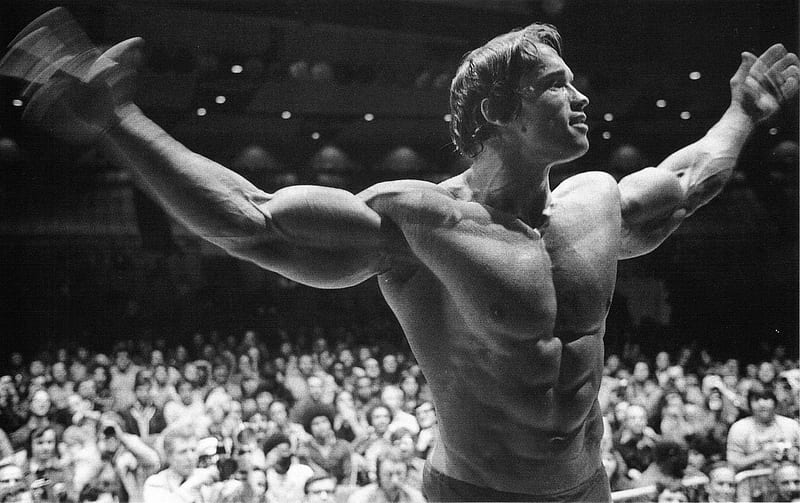 Training Like Arnold Schwarzenegger