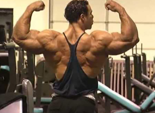 Training Like Kevin Levrone