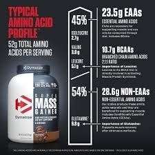 dymatize super mass gainer 6 lbs